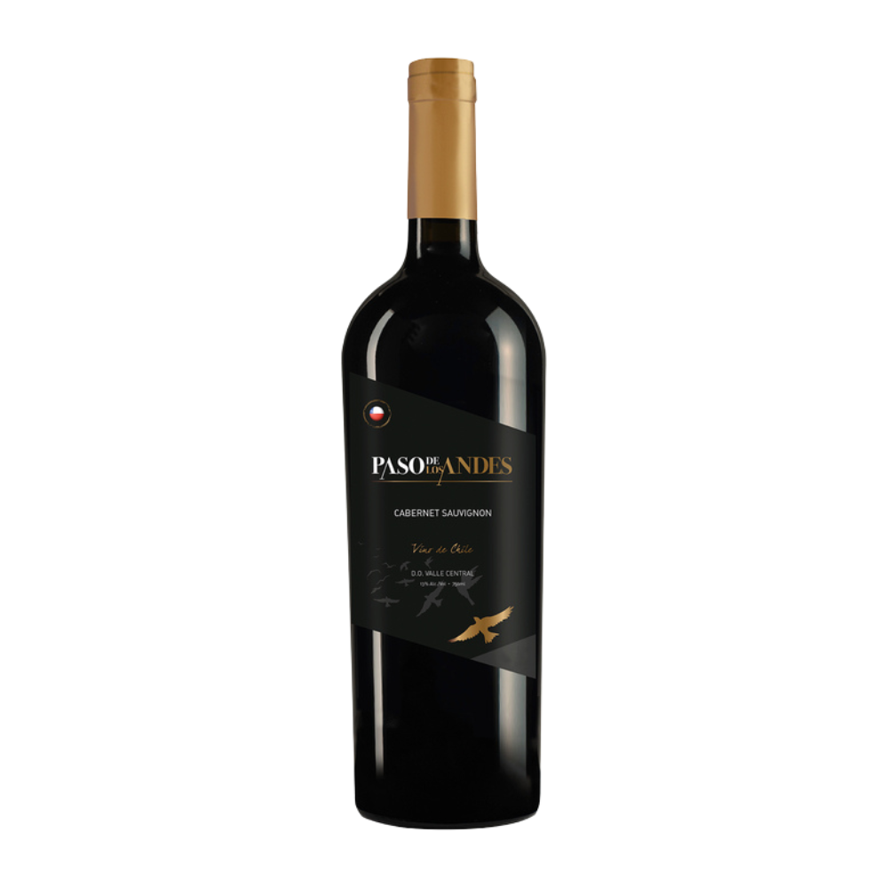 Vinho Paso de Los Andes Cabernet Sauvignon 750ml