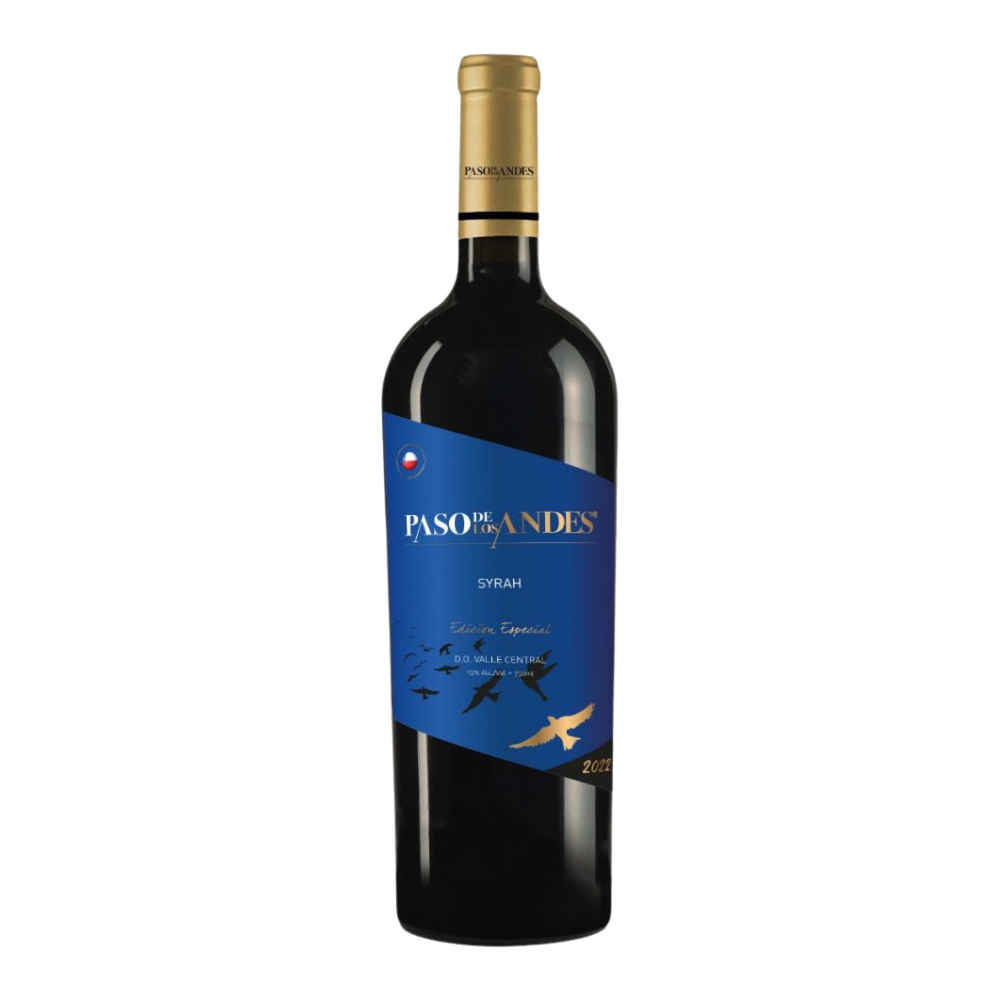 Paso de Los Andes Syrah Vinho Chileno 750ml